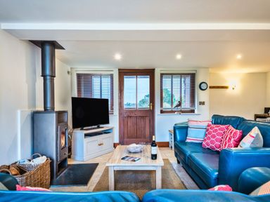 A living room with a wood stove and television at Woodyplatt in Marhamchurch