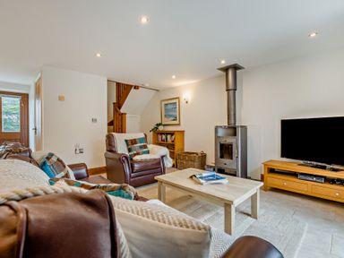 A living room with a sofa, armchair, and television at Sand Parks in Marhamchurch