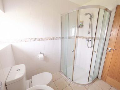 A bathroom with a shower and toilet at Medlands in Marhamchurch