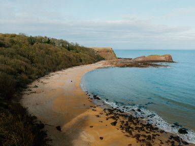 A beach with rocks and trees at The Laidlaw Spa in North Berwick