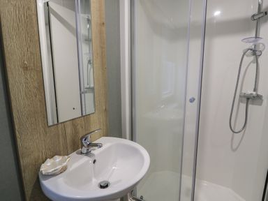 A sink with a mirror and shower in a bathroom at Willerby Ellerrton (delyn)