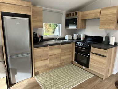 A kitchen with appliances and cabinetry at Willerby Ellerrton (delyn) Prestatyn