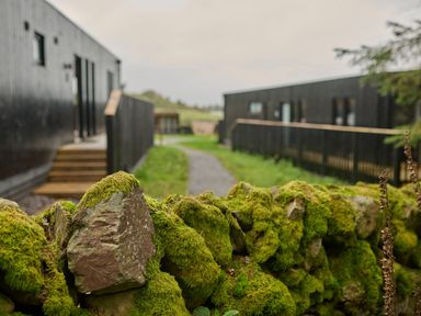 A pathway leading to black wooden buildings at Cabin 2.0 Deluxe Dumfries