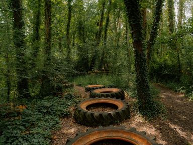 A wooded area with old tires along a path at Spitfire Lodge in Fair Oak