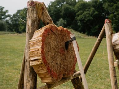 A wooden log with an axe in it at Spitfire Lodge Fair Oak