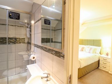 A bathroom with a shower, sink, and toilet at Llwyn Derw in Talybont