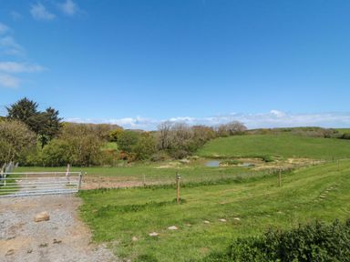 A field with a gate and a pond at Rosefinch Cabin Staintondale near Scarborough
