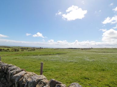A grassy field with a stone wall at Swift Cabin in Staintondale near Scarborough