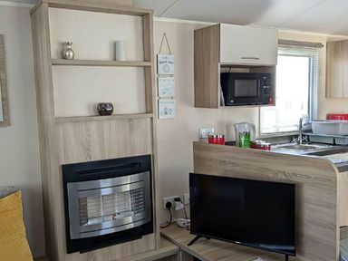 A living room with a fireplace and television at Coopers Beach Holiday Park - Holiday Accommodation 6404 Mersea Island