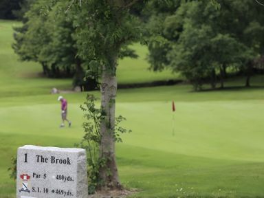 A golf course with a player near the green at The Brook in Newry