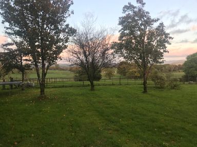 A grassy area with trees and a fence at Studio Apartment at High Dyke Farm Cockermouth