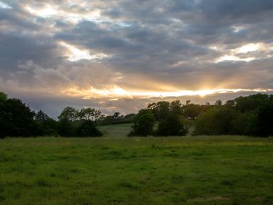 A field with trees and clouds during sunset at Badger - Luxury Glamping Retreat in Battle
