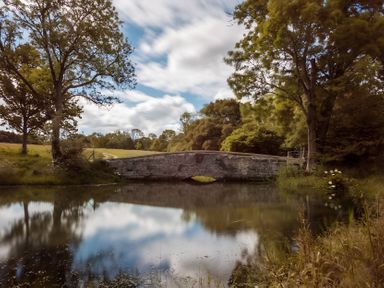 A bridge over water surrounded by trees at Badger - Luxury Glamping Retreat in Battle