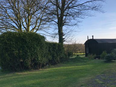 An outdoor area with trees and a shed at Tylands in Camelford