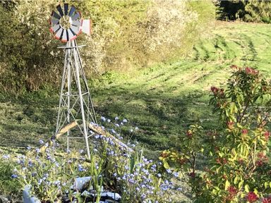 A windmill and flowers in a field at Tylands in Camelford