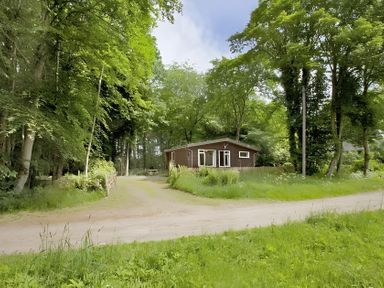 A cabin surrounded by trees at Satchwell Chalet in Inverness