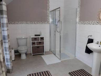 A bathroom with shower, toilet, and sink at The Farmhouse in Omagh