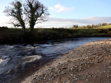 A river with trees on the bank and pebbles at The Farmhouse in Omagh