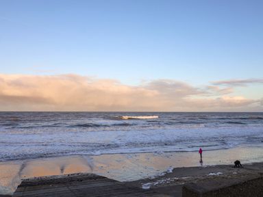 A beach scene with waves and a person walking with a dog at Paws By The Sea Norwich