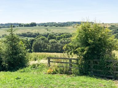 A view of a field and trees in the countryside at The Granary in Durham