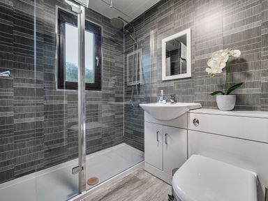 A bathroom with a shower, toilet, and wash basin at Cabin 1 Moffat Manor, Beaufort