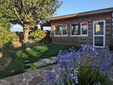 An outdoor area with a cabin, pathway, and flowers at The Retreat Cabin in Llanelli
