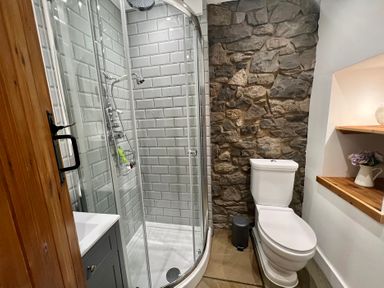 A bathroom with a shower and toilet at Penderyn Cottage Aberdare