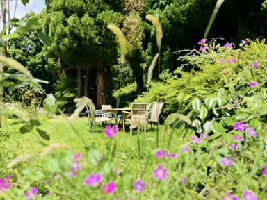 A garden with flowers and a seating area at The Bark House in Tiverton