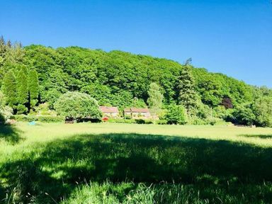 A view of cottages surrounded by trees and grass at The Bark House in Tiverton