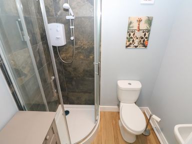 A bathroom with a shower and a toilet at Heidiaway Lodge in Gilfach Goch