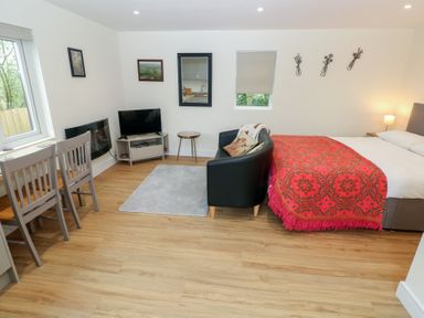 A studio layout with a bed, sofa, dining area and television at Heidiaway Lodge, Gilfach Goch