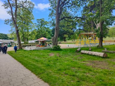 A park with trees and playground equipment at 17 Castleview Ballymena