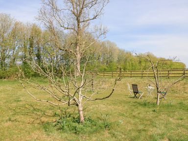 A garden with trees and chairs at Foxhill Farm Barn Cheltenham