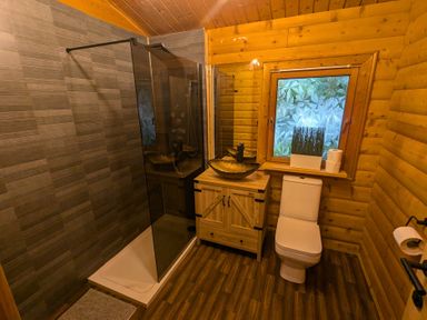 A bathroom with a shower and toilet at Pineshadow Lodge in Louth