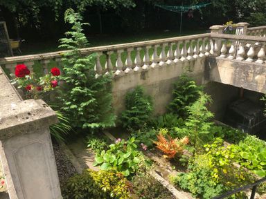A garden with plants and flowers at Fountain Hill House Londonderry