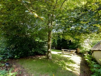 A garden area with a tree and a bench at Fountain Hill House in Londonderry