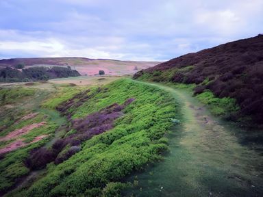 A path winding through greenery at Sea view cottage in Penmaenmawr
