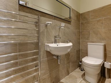 A bathroom with a washbasin and toilet at Poppyfields Stable in Redruth