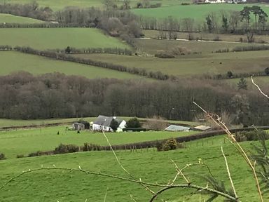 A house and garden in a rural landscape at Shepherds hut Dumfries