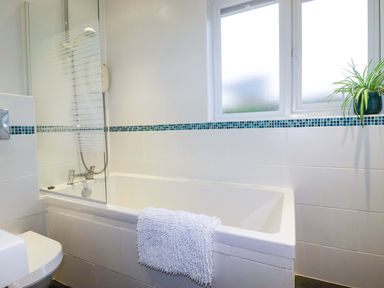 A bathroom with a bathtub, shower and a plant at Poldreth in Truro
