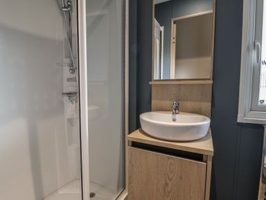 A bathroom with a shower and a sink at The Pines 3 Bedrooms Delamere