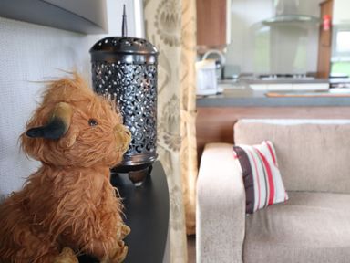 A living room with a toy figure and lamp at No 8 Hillcote Lodge Cockermouth