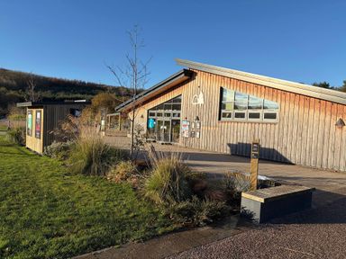 An outdoor area with a wooden building and landscaping at Ashberry 38 x 12 Two Bed (Pet Free) Northwich