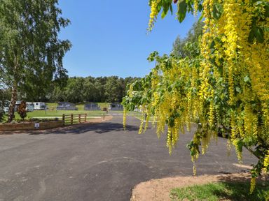 An outdoor area with flowers and caravans at The Oaks 2 Bedrooms Delamere