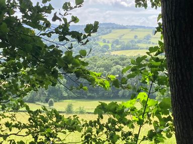 A view through tree branches showing hills and fields at The Tree House in the Woods Longhope