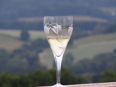 A glass with a beverage in an outdoor setting at Cosy Shepherd’s Hut Longhope