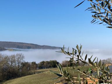 A foggy landscape with trees and leaves at Cosy Shepherd’s Hut in Longhope