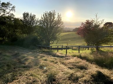 A sunset over a field with trees and a fence at Cosy Shepherd’s Hut Longhope