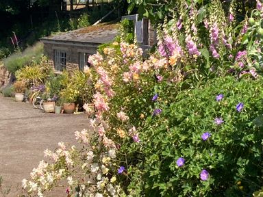 A garden with various flowers and a building at Cosy Shepherd’s Hut Longhope