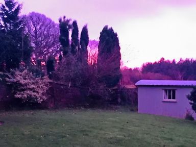 A garden with trees and a shed at Cosy Shepherd’s Hut Longhope